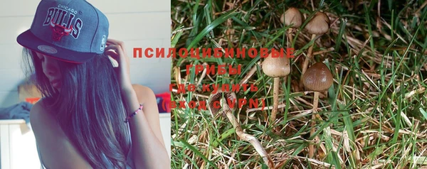 спиды Абаза