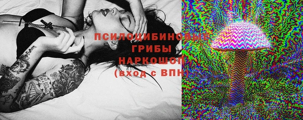 амф Абинск