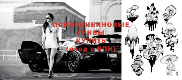 спиды Абаза