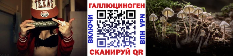 Галлюциногенные грибы мицелий  Симферополь 