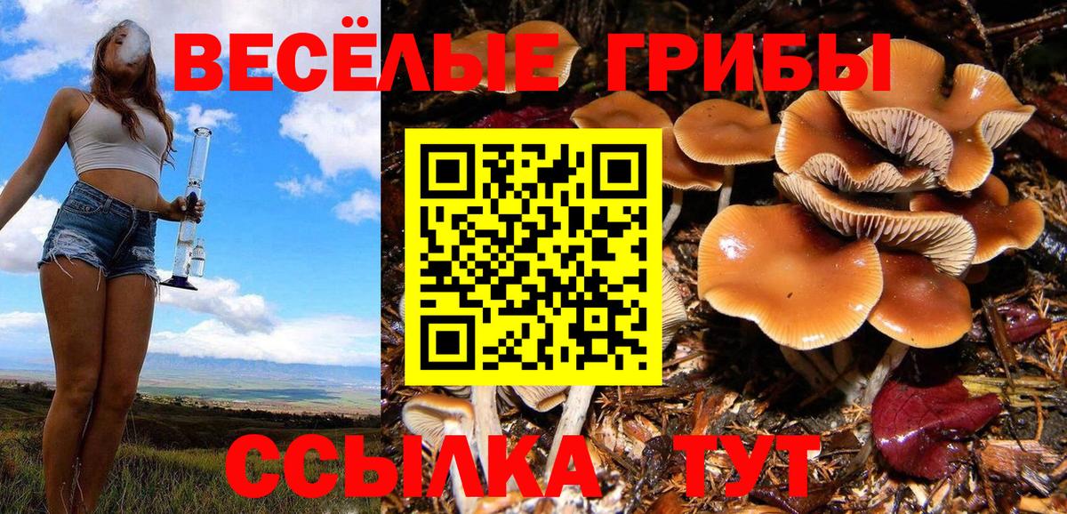 Псилоцибиновые грибы GOLDEN TEACHER Симферополь
